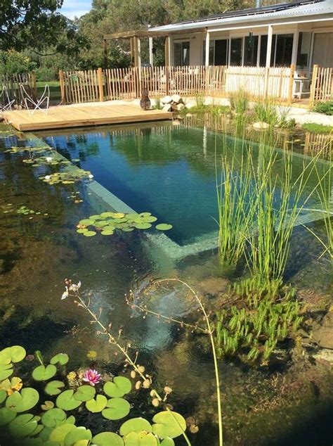 Natural pond swimming pool - I'm in Burringbar, New South Wales - Australia with CAC Stephen Caruana of SJC Landscapes @sjclandscapes1263 to visit his customers and the Water Features t...